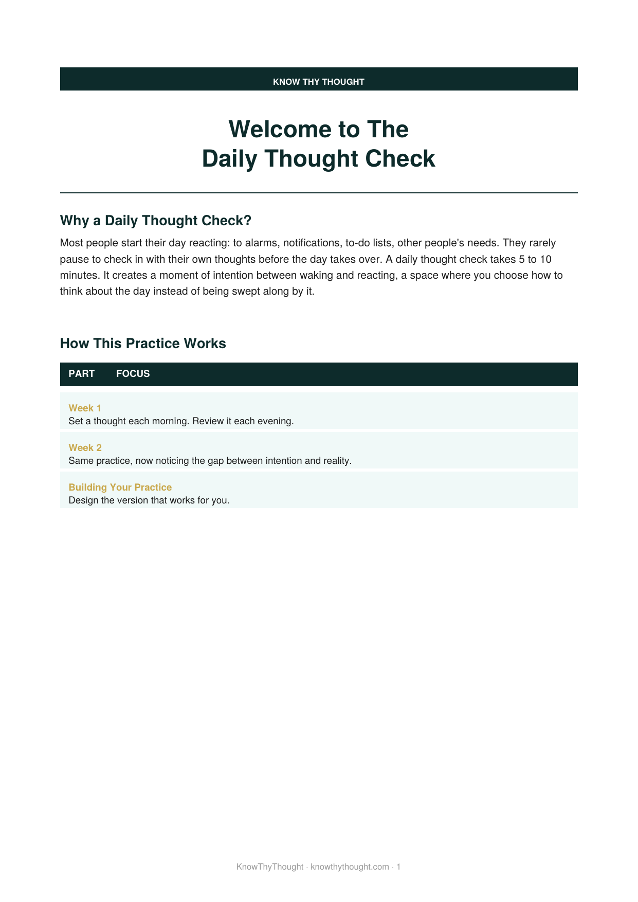 The Daily Thought Check - Image 2