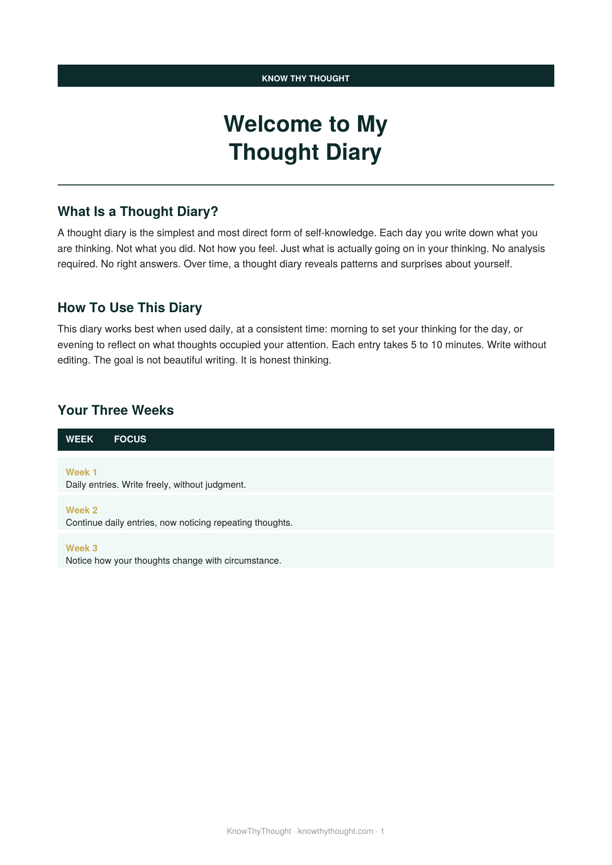 My Thought Diary - Image 2
