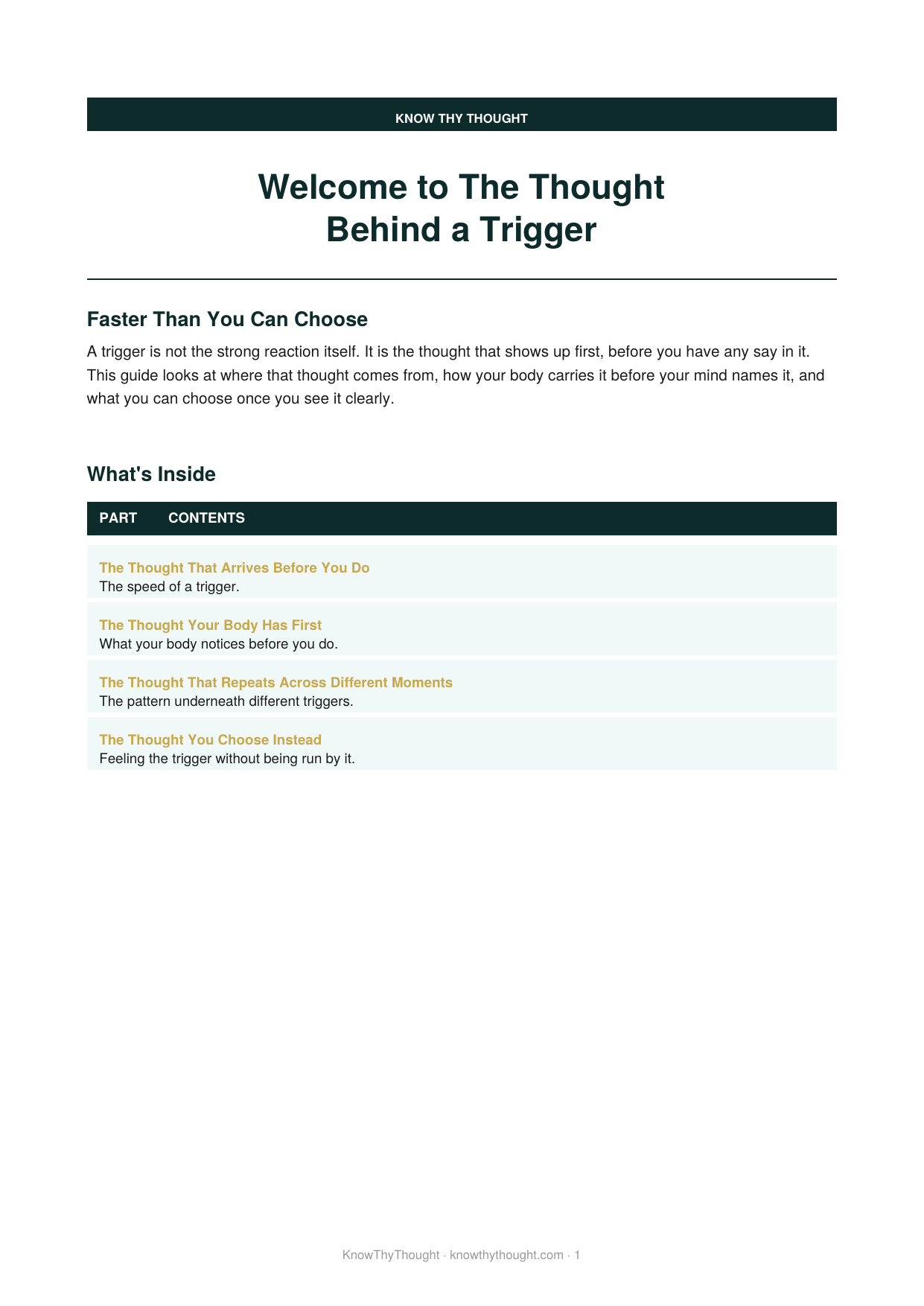 The Thought Behind a Trigger - Image 2