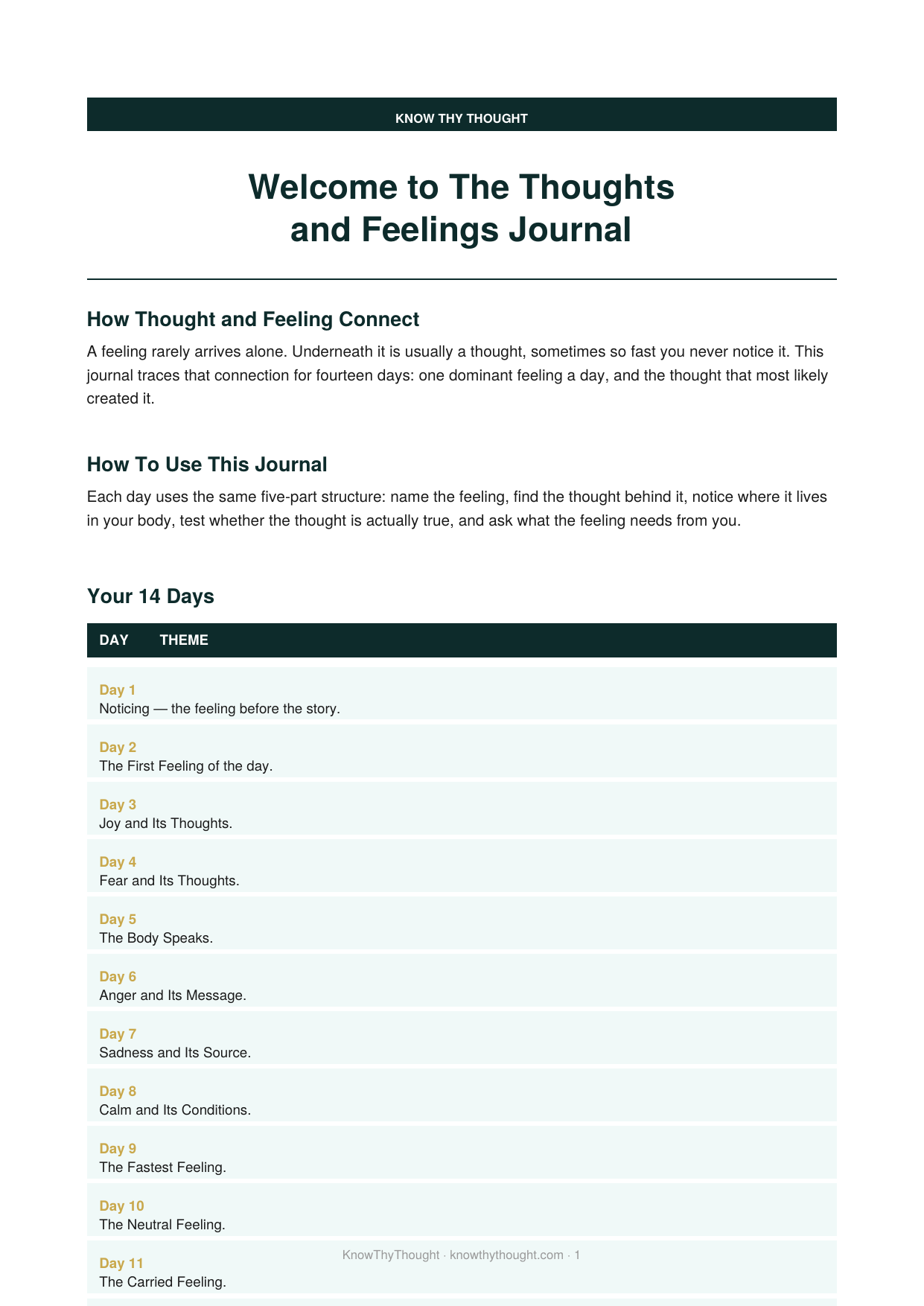 The Thoughts and Feelings Journal - Image 2